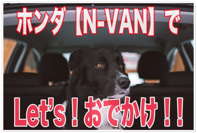 犬と乗りたい車はこれ!【おすすめ】ホンダ・N-VAN